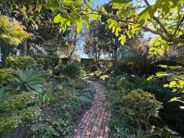 Leafy brick garden path lined with lush shrubs and ferns